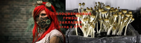 ALPHA PVP Арсеньев