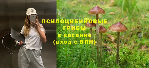 не бодяженный Армянск
