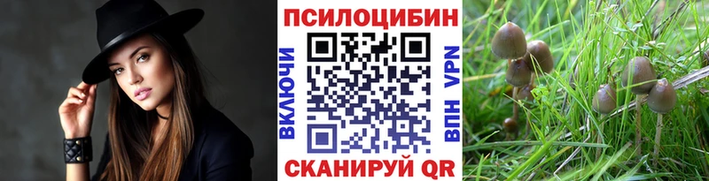 omg как войти  Артёмовский  Галлюциногенные грибы прущие грибы  где можно купить  